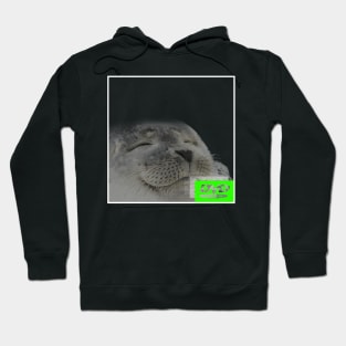 Bouncing DVD Hits Corner Idle Screen Meme Hoodie